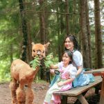 Vibes Eropa Klasik! Shandy Aulia & Claire Tampil Stunning