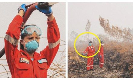 Dugaan Sabotase Karhutla Bitung, Selang Mobil Damkar Di Potong